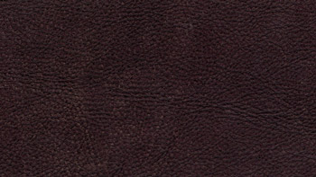 Pelle Maya colore 7305 Dark Brown