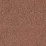 cognac4017